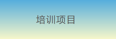 培训项目
